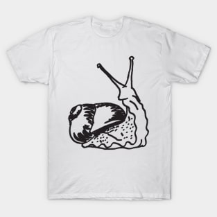 Snail T-Shirt